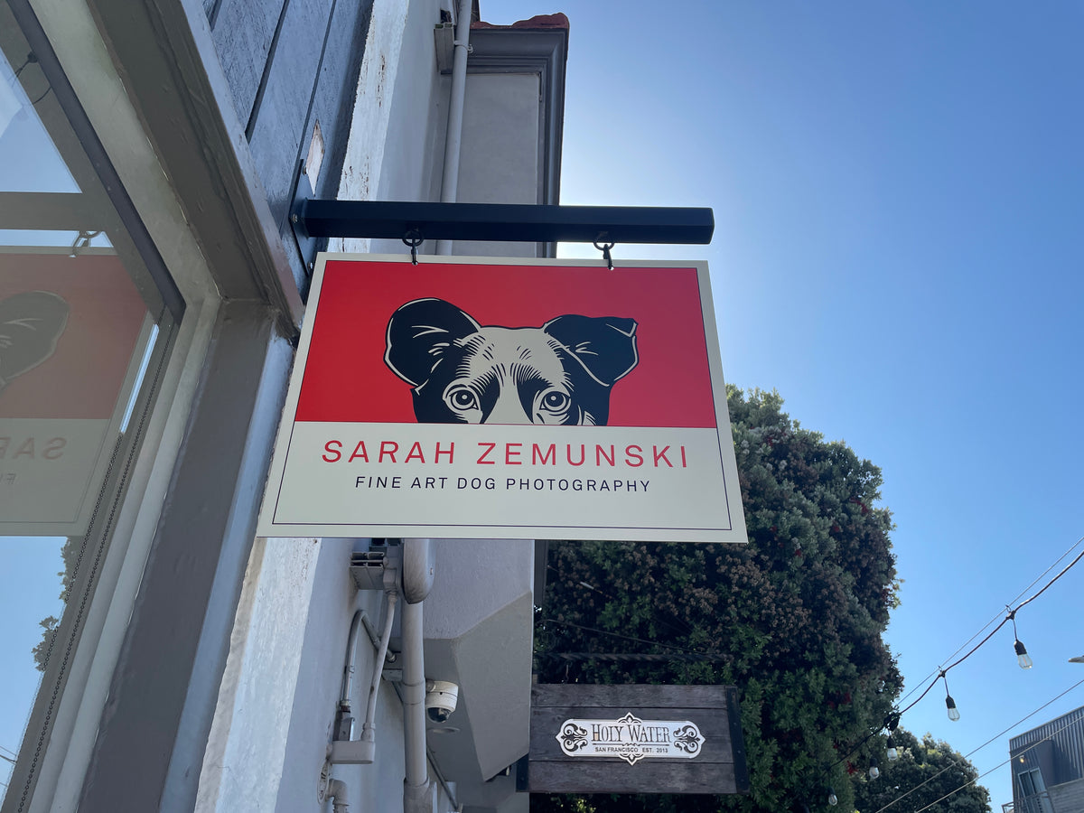 Sign for Sarah Zemunski Fine Art Dog Photography on a building exterior.